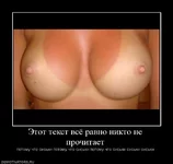 .webp