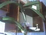 03-04-09_1038.webp