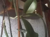 03-04-09_1039.webp