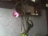 03-04-09_1037.webp
