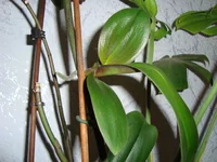 DSC00305.JPG