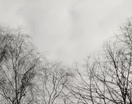 chroma_fz50_100_8.webp