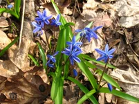 IMG_5309.webp