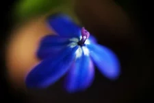 IMGP6356.webp