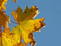 PICT0756.webp