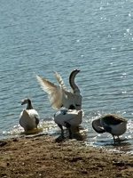 PICT0765.webp
