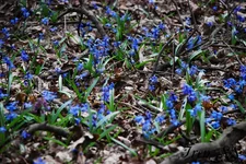 12 копия.webp
