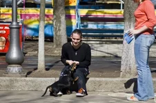 x_d1f15934.webp