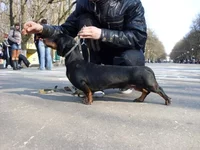 x_3189693d.webp