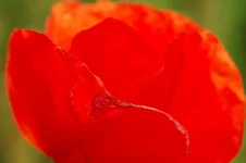 DSC_9647.webp