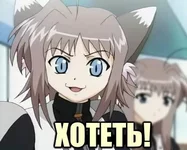 1215886813560.webp