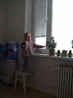 P1100534.webp