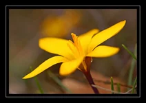 DSC02276.webp