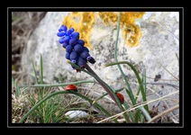 DSC03032.webp