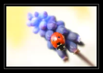 DSC03037.webp