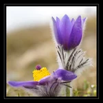 DSC03125.webp