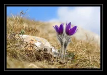 DSC03171.webp