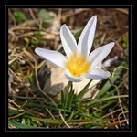 DSC03205.webp
