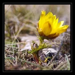 DSC03212.webp
