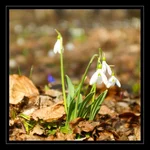 DSC03299.webp