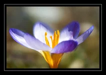 DSC03341.webp