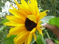  045.webp