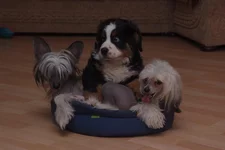 DSCF3110.webp