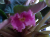 DSC00117.webp