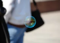 DSC_9069 crop 800.webp