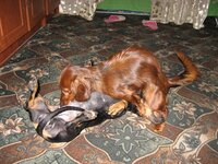 IMG_0654.JPG