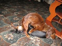 IMG_0655.JPG
