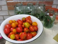  Июль 116.webp