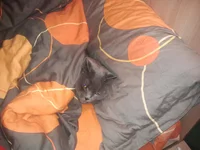 20130723_114537.webp