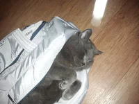 20130820_222856.webp