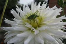 01 (4).webp