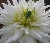 01 (5).webp