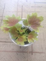 8bP6dj_oPeI.webp