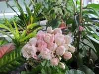 crop_105145711_RRIMn.webp