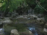 139.webp