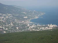 119.webp
