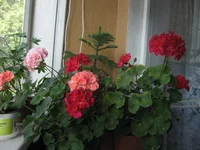 IMG_8097.webp