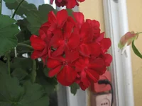 IMG_8074.webp