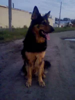 0040[2].webp