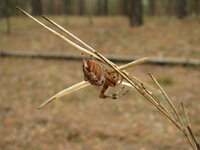 IMG_6468.jpg