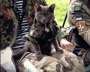  изображение 2014-9-28_0-55-31.677.webp