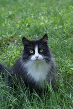 DSC02131.webp