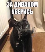 1907438_779984005378814_2930411664998259518_n.webp