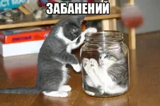 fvOsd8rlfjs.webp