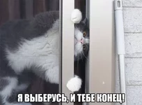 lT8599lE3j4.webp
