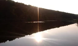 IMAG0432.webp